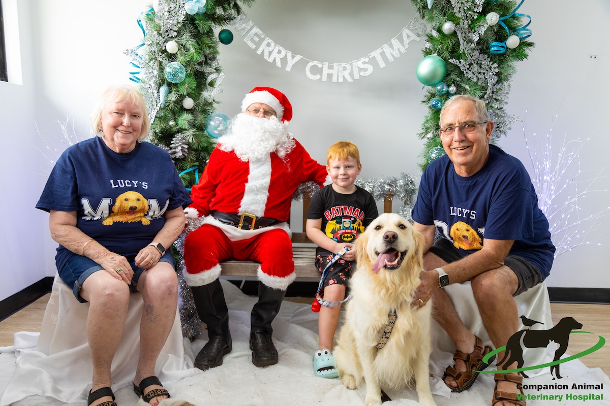 lucy the golden retriever with her family in a santa photo