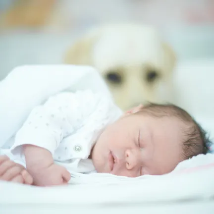 newborn baby with dog in background guarding 