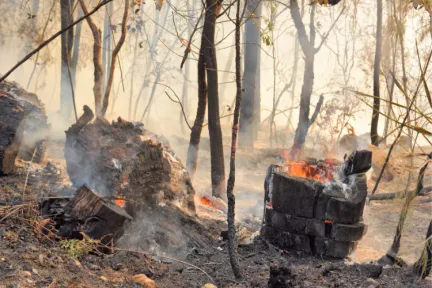 a bushfire burning