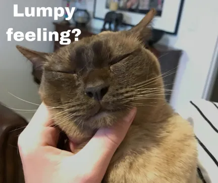 Cat having neck felt, does it feel lumpy? It asks