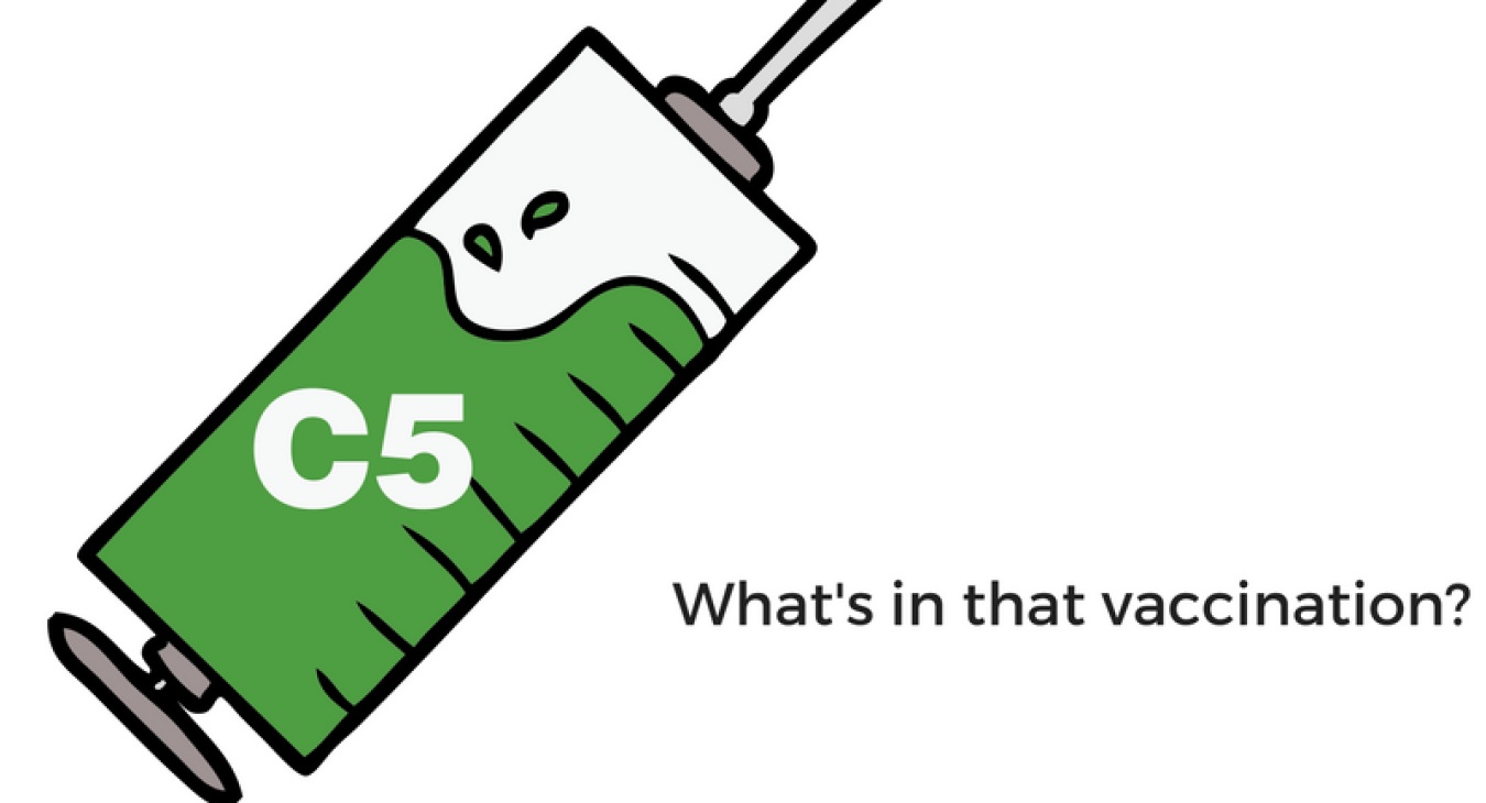 C5 vaccination in a syringe and needle with the words: what's in a vaccination