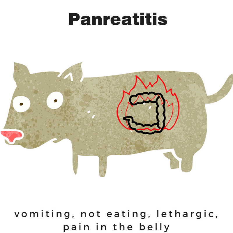 Pancreatitis – gurgling guts