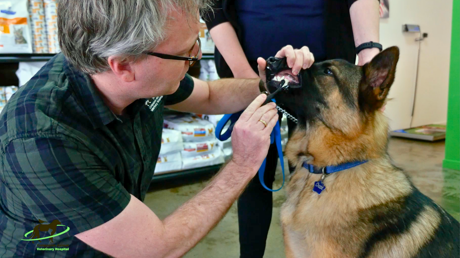 Dog Breath Isn't Normal: That's pus you can smell