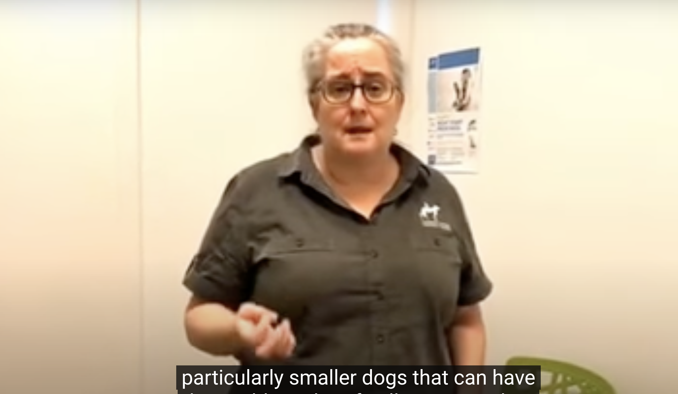 Understanding and Addressing Coughing in Dogs and Cats