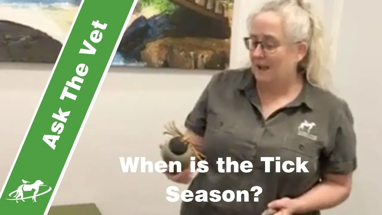 Tackling Tick Season – Tips from Our Live Session!