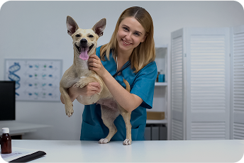Community Vet Nurse