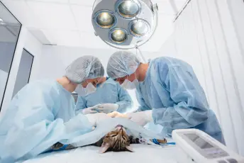 General Medicine and Surgery
