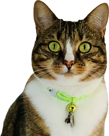 Pet Owners Hero Image