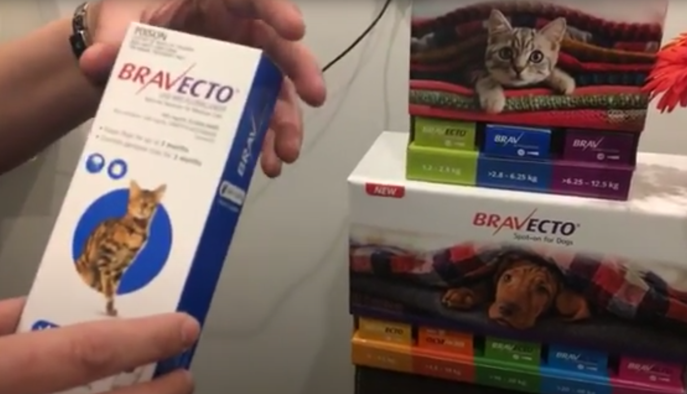 Introducing Bravecto Spot-On: A Game-Changer for Pet Flea and Tick Treatment!