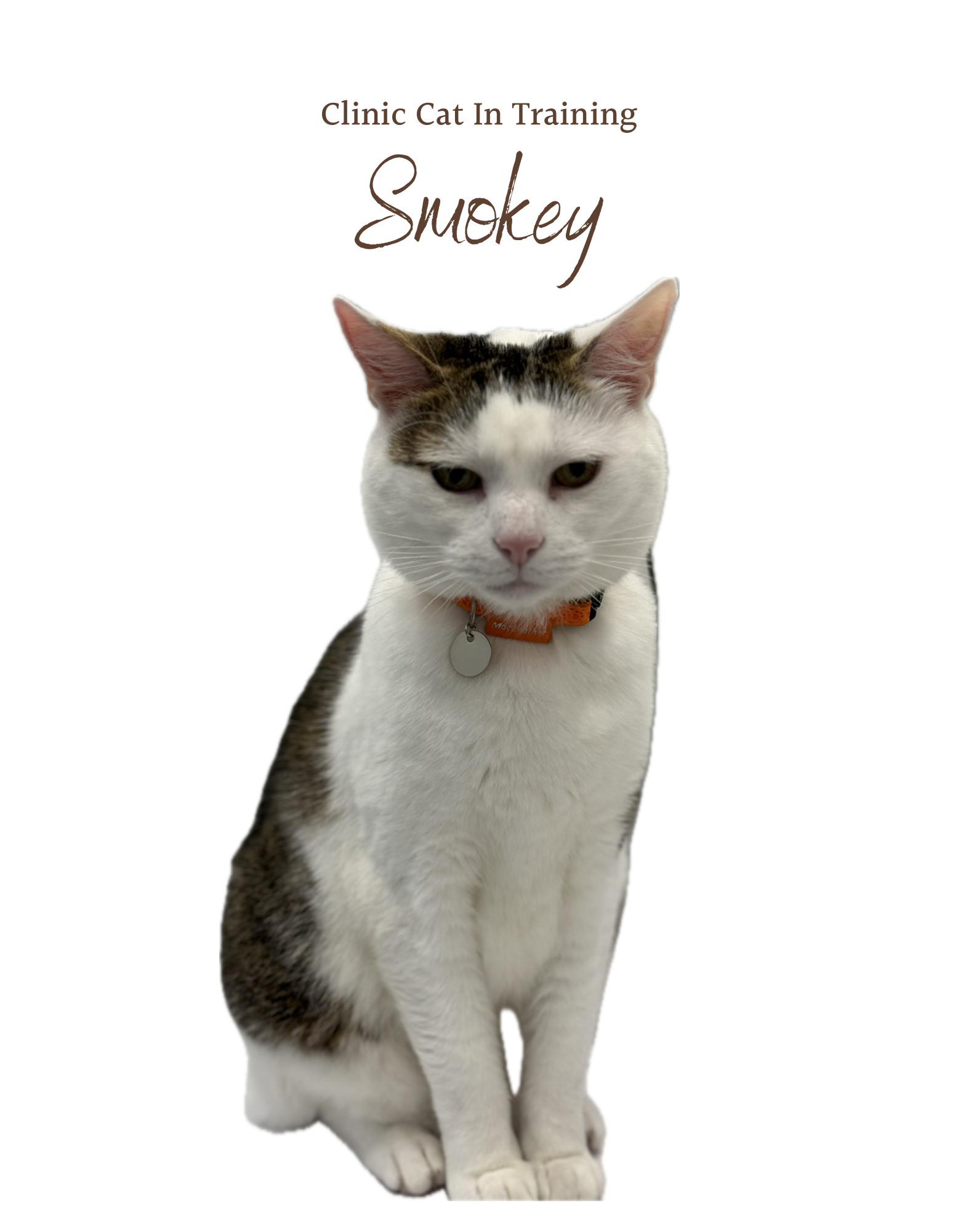 Smokey