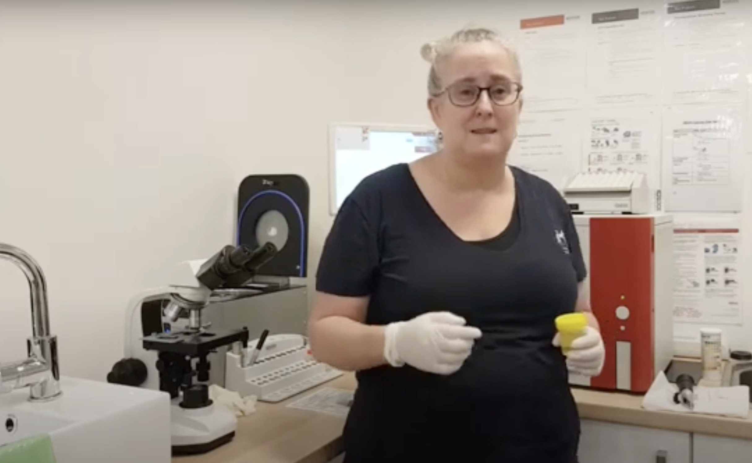 Understanding Urinalysis: A Vital Tool in Pet Health