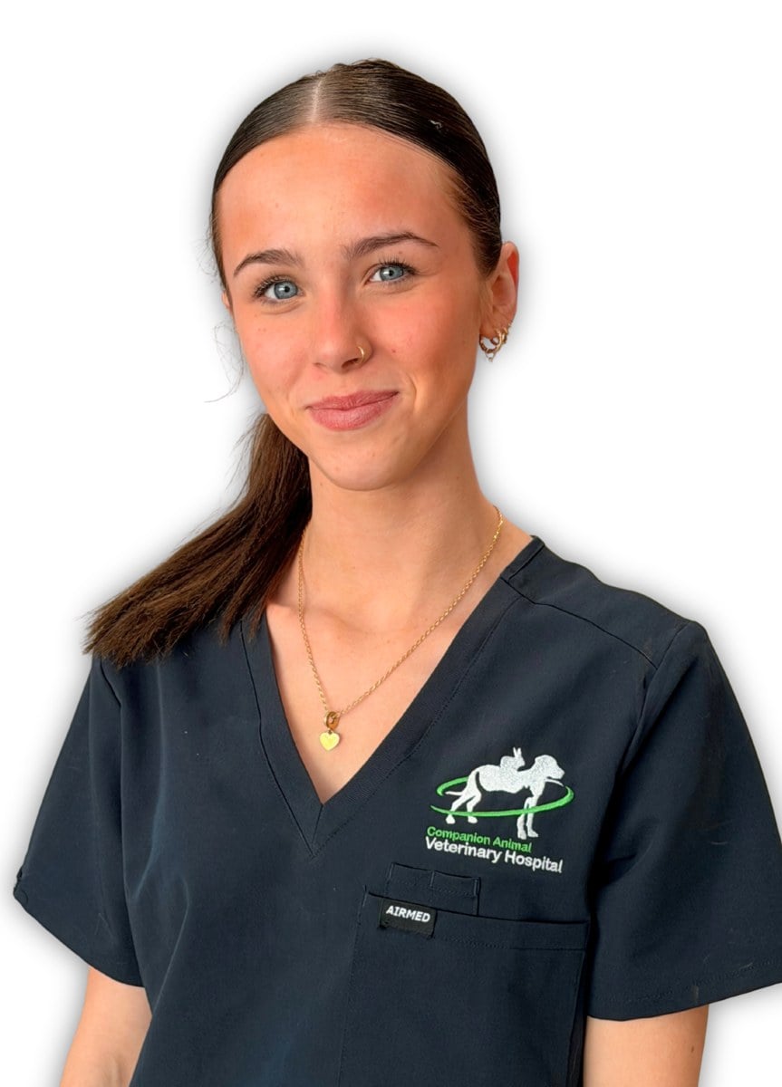 Ayla Dorling