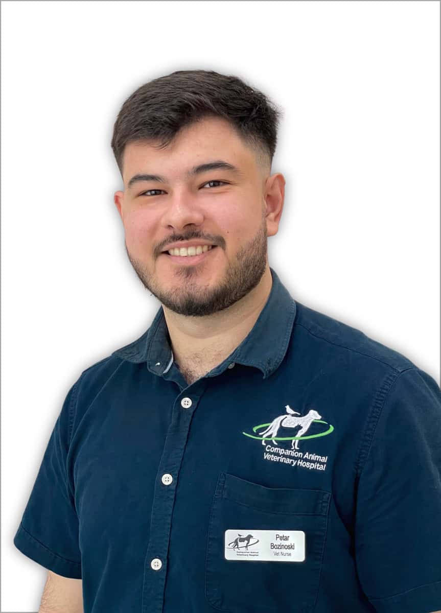 Petar Bozinoski, Veterinary Nurse